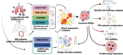 Comprehensive analysis to identify the influences of SARS-CoV-2 infections to inflammatory bowel disease